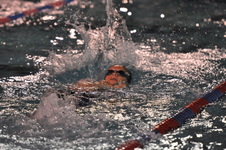 Enlarge photo 399