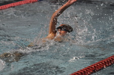 Enlarge photo 410