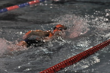 Enlarge photo 411