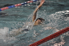 Enlarge photo 412