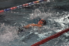 Enlarge photo 413