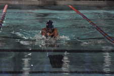 Enlarge photo 423
