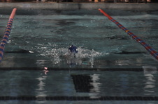 Enlarge photo 424