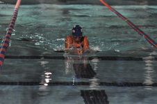 Enlarge photo 426