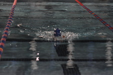 Enlarge photo 427
