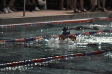 Enlarge photo 439