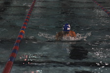Enlarge photo 455