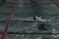 Enlarge photo 456