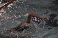 Enlarge photo 459