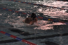 Enlarge photo 462