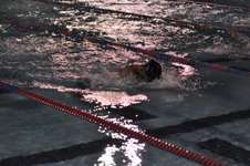 Enlarge photo 466