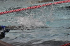 Enlarge photo 473