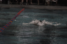 Enlarge photo 475