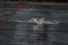 Enlarge photo 477