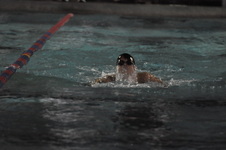Enlarge photo 478