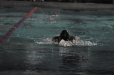Enlarge photo 480