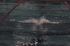 Enlarge photo 483