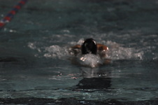 Enlarge photo 488