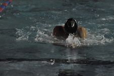 Enlarge photo 490