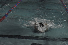Enlarge photo 495