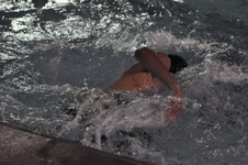 Enlarge photo 498