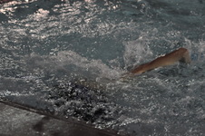 Enlarge photo 499