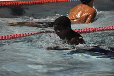 Enlarge photo 501