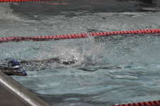 Enlarge photo 508