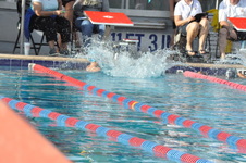 Enlarge photo 51