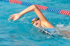 Enlarge photo 63