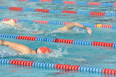 Enlarge photo 65