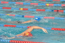 Enlarge photo 67
