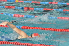 Enlarge photo 71