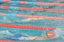 Enlarge photo 77