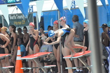 Enlarge photo 78