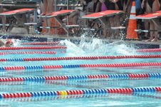 Enlarge photo 84