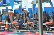 Enlarge photo 96