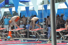 Enlarge photo 98
