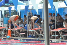 Enlarge photo 102
