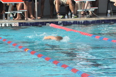 Enlarge photo 103