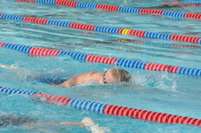Enlarge photo 107