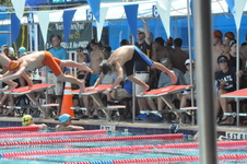 Enlarge photo 108