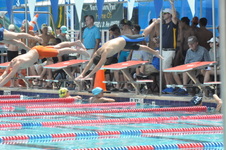 Enlarge photo 110