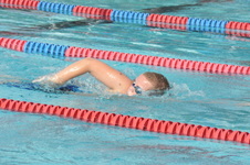 Enlarge photo 113