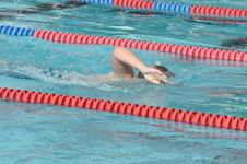 Enlarge photo 115