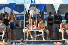 Enlarge photo 117