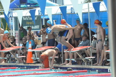 Enlarge photo 120