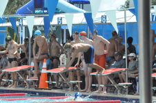 Enlarge photo 127