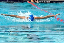 Enlarge photo 128