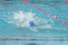 Enlarge photo 130